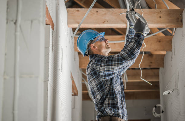 Best Circuit Breaker Repair  in Brazoria, TX