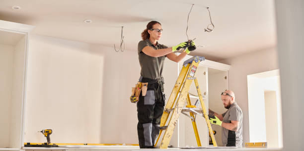 Best Electrical System Inspection  in Brazoria, TX