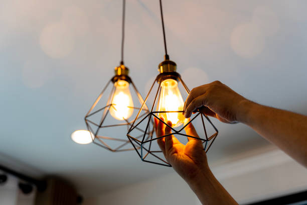 Best Ceiling Fan Installation Electrician  in Brazoria, TX