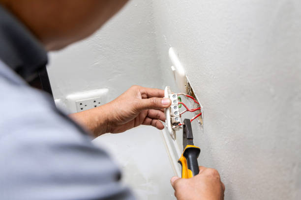 Best Affordable Electrician  in Brazoria, TX